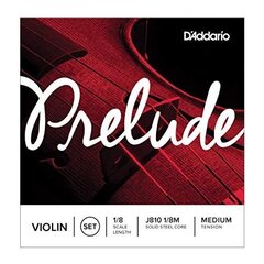 J810 1/2M D'Addario Prelude viulun kielet hinta ja tiedot | D'Addario Soittimet | hobbyhall.fi