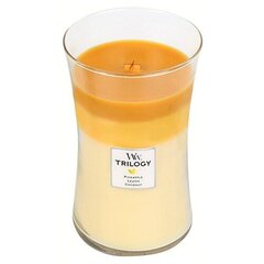 WoodWick Fruits from Summer Trilogy Vase -tuoksukynttilä, 609,5 g hinta ja tiedot | Kynttilät ja kynttilänjalat | hobbyhall.fi