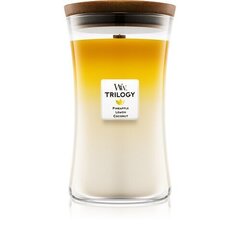 WoodWick Fruits from Summer Trilogy Vase -tuoksukynttilä, 609,5 g hinta ja tiedot | Kynttilät ja kynttilänjalat | hobbyhall.fi