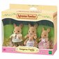 Sylvanian Families kenguruperhe nukkesetti hinta ja tiedot | Tyttöjen lelut | hobbyhall.fi