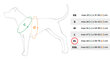 Amiplay Grand Soft Reflective säädettävät valjaat Heijastava, XL, sininen hinta ja tiedot | Koiran valjaat ja kaulapannat | hobbyhall.fi
