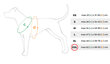 Amiplay Grand Soft Reflective säädettävät valjaat Heijastava, XXL, punainen hinta ja tiedot | Koiran valjaat ja kaulapannat | hobbyhall.fi