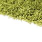 Matto Shaggy Light Green, 60x100 cm hinta ja tiedot | Isot matot | hobbyhall.fi