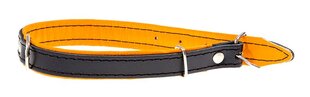 Musta kaulapanta Amibelle oranssilla vuorella, XL hinta ja tiedot | Koiran valjaat ja kaulapannat | hobbyhall.fi