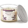 Kannellinen tuoksukynttilä Candle-Lite Wild Fig & Tobac, 418 g