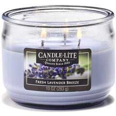 Candle-lite Everyday Fresh Lavender Breeze tuoksukynttilä hinta ja tiedot | Kynttilät ja kynttilänjalat | hobbyhall.fi
