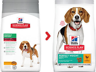 Hill's Science Plan Perfect Weight Keskikokoinen aikuisten koirien ruoka, 2 kg. hinta ja tiedot | Koiran kuivaruoka | hobbyhall.fi