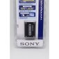 Sony NP-FH100 hinta ja tiedot | Kameran akut | hobbyhall.fi