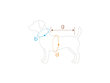 T-paita koirille Amiplay Polo Oxford Yorkshire Terrier, S, harmaa hinta ja tiedot | Koiran vaatteet | hobbyhall.fi