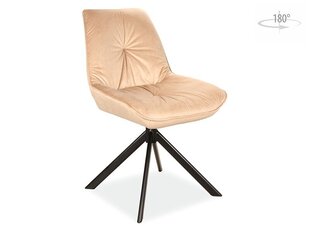 2 tuolin sarja Signal Meble Boogie, beige hinta ja tiedot | Ruokapöydän tuolit | hobbyhall.fi