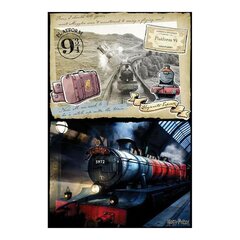 Harry Potter Tylypahkan raaputuspalapeli, 500 palaa hinta ja tiedot | Palapelit | hobbyhall.fi