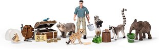 Joulukalenteri Wild Life Schleich 98272 hinta ja tiedot | Schleich Lelut yli 3-vuotiaille lapsille | hobbyhall.fi