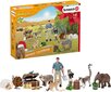 Joulukalenteri Wild Life Schleich 98272 hinta ja tiedot | Kehittävät lelut | hobbyhall.fi