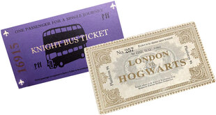 Korttilippu Harry Potter 2x Lippu hinta ja tiedot | Harry Potter Sisustus | hobbyhall.fi