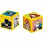 Lautapeli Batman Match, The crazy cube game EN hinta ja tiedot | Lautapelit ja älypelit | hobbyhall.fi
