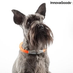 LED-kaulapanta lemmikille Petlux InnovaGoods hinta ja tiedot | InnovaGoods Koirat | hobbyhall.fi