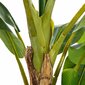 Koristekasvi 103 x 95 x 200 cm Vihreä PVC Banaanikasvi hinta ja tiedot | Keinotekoiset kukat | hobbyhall.fi