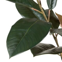 Koristekasvi 49 x 45 x 125 cm PVC Fiikus Tummanvihreä hinta ja tiedot | Keinotekoiset kukat | hobbyhall.fi