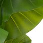 Koristekasvi 75 x 60 x 155 cm Vihreä Philodendron hinta ja tiedot | Keinotekoiset kukat | hobbyhall.fi