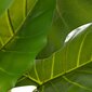 Koristekasvi 75 x 60 x 155 cm Vihreä Philodendron hinta ja tiedot | Keinotekoiset kukat | hobbyhall.fi