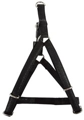Valjaat Zolux Mac Leather, musta, 25 mm hinta ja tiedot | Koiran valjaat ja kaulapannat | hobbyhall.fi