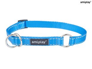 Kaulapanta Amiplay Reflective, XL, sininen hinta ja tiedot | Koiran valjaat ja kaulapannat | hobbyhall.fi