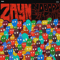 Zayn "Nobody Is Listening" CD hinta ja tiedot | Vinyylilevyt, CD-levyt, DVD-levyt | hobbyhall.fi