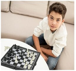 Magneettitammi, shakki ja backgammon 3 in 1 -sarja hinta ja tiedot | Lautapelit ja älypelit | hobbyhall.fi