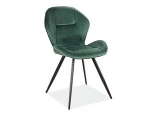 Signal Meble Ginger Velvet 4 tuolin setti, vihreä hinta ja tiedot | Ruokapöydän tuolit | hobbyhall.fi
