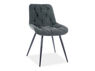 Signal Meble Praga -tuolit, 4 kpl, vihreä hinta ja tiedot | Ruokapöydän tuolit | hobbyhall.fi