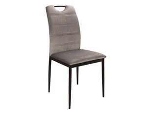 Signal Meble Rip -tuolit, 4 kpl, harmaa hinta ja tiedot | Ruokapöydän tuolit | hobbyhall.fi