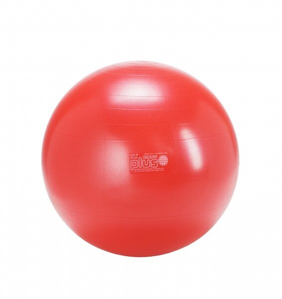 Gymnic Classic pallo 55 punainen hinta ja tiedot | Voimistelupallot | hobbyhall.fi