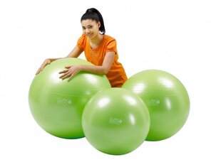 Gymnic Plus -pallo 55 vihreä hinta ja tiedot | Voimistelupallot | hobbyhall.fi