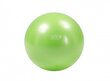 Gymnic Plus -pallo 55 vihreä hinta ja tiedot | Voimistelupallot | hobbyhall.fi