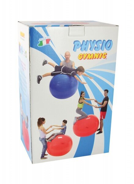 Physio Gymnic pallo 95 cm hinta ja tiedot | Voimistelupallot | hobbyhall.fi
