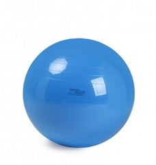 Physio Gymnic pallo 95 cm hinta ja tiedot | Voimistelupallot | hobbyhall.fi