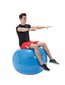 Physio Gymnic pallo 95 cm hinta ja tiedot | Voimistelupallot | hobbyhall.fi