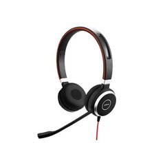 Jabra Evolve 40 MS Stereo hinta ja tiedot | Kuulokkeet | hobbyhall.fi