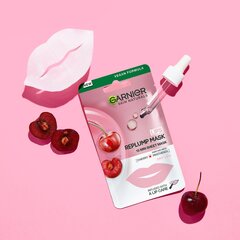 Kiinteyttävä huulinaamio kirsikkauutteella Garnier Skin Naturals 5 g hinta ja tiedot | Kasvonaamiot ja silmänalusaamiot | hobbyhall.fi