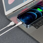 Borofone kaapeli BX51 Triumph - USB-Lightning - 2,4A 1 meeter valge hinta ja tiedot | Puhelinkaapelit | hobbyhall.fi