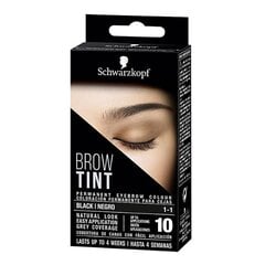 Pitkäkestoinen kulmakarvojen väri Schwarzkopf Tint Black hinta ja tiedot | Schwarzkopf Hajuvedet ja kosmetiikka | hobbyhall.fi