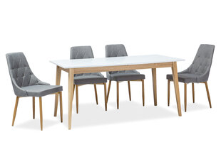 Pöytä Cesar, 68 x 120 cm, valkoinen/tammenvärinen hinta ja tiedot | Ruokapöydät | hobbyhall.fi