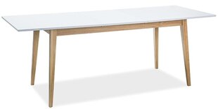Pöytä Cesar, 68 x 120 cm, valkoinen/tammenvärinen hinta ja tiedot | Ruokapöydät | hobbyhall.fi
