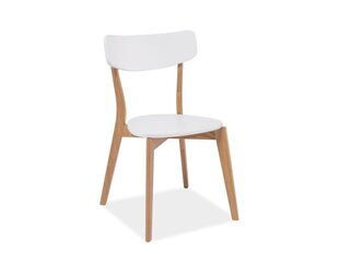 4 tuolin sarja Signal Meble Mosso, valkoinen/ruskea hinta ja tiedot | Ruokapöydän tuolit | hobbyhall.fi
