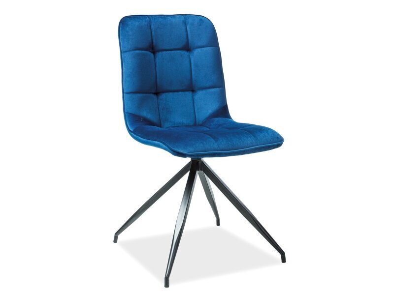 2 tuolin setti Signal Meble Texo, sininen hinta ja tiedot | Ruokapöydän tuolit | hobbyhall.fi