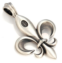 Bico "Fleur De Life" Satiini hopea valmis Fleur De Li riipus (E316) hinta ja tiedot | Kaulakorut | hobbyhall.fi