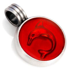 Bico "Dolphin" hartsi ja metalliriipus (B20 punainen) hinta ja tiedot | Kaulakorut | hobbyhall.fi
