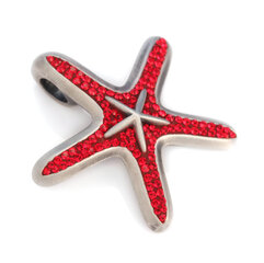 Bico "Ocean Celeste" Pave Star kalariipus kristalleilla (PV8 punainen) hinta ja tiedot | Kaulakorut | hobbyhall.fi