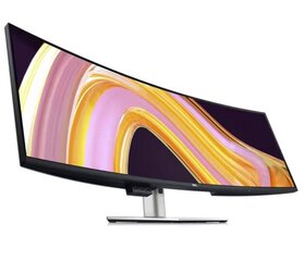 Dell U4924DW hinta ja tiedot | Näytöt | hobbyhall.fi