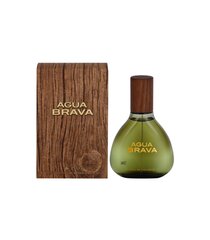 Miesten hajuvesi Agua Brava Puig EDC (100 ml) hinta ja tiedot | Miesten hajuvedet | hobbyhall.fi